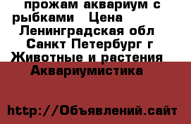 прожам аквариум с рыбками › Цена ­ 2 500 - Ленинградская обл., Санкт-Петербург г. Животные и растения » Аквариумистика   